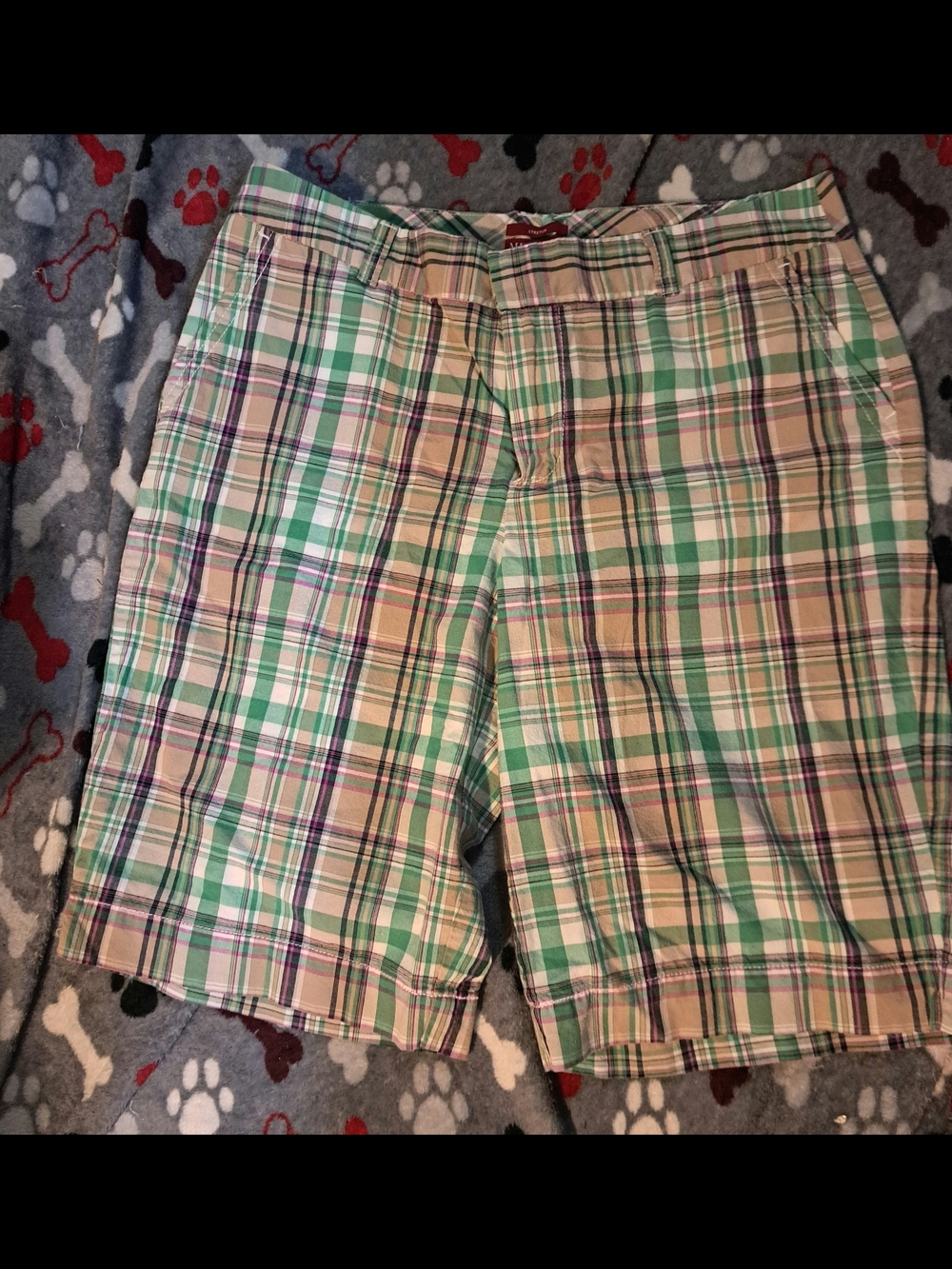 Plaid Cotton Shorts - Green Multi